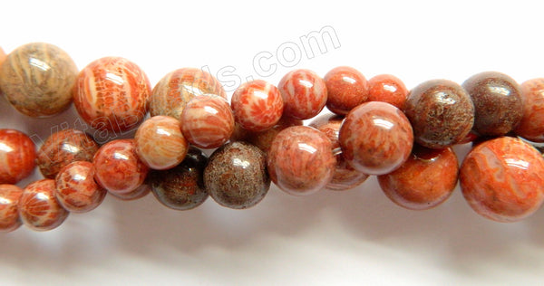 Red FossilCoral Jasper  -  Smooth Round Beads  16"