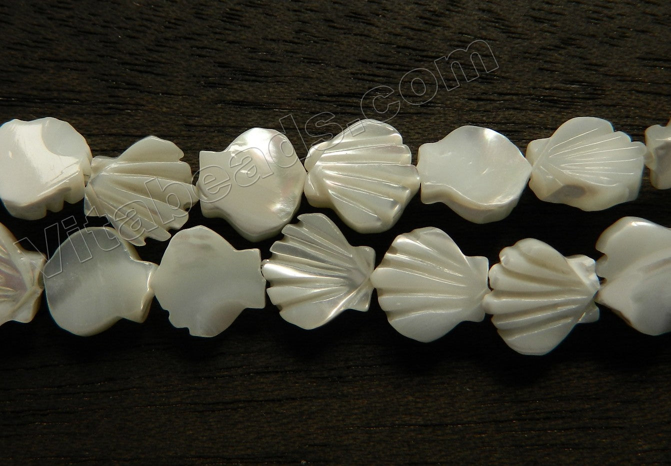 White Sea Shell MOP  -  Carved Shell Beads  16"   