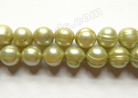 Shell Beads, White Sea Mollusk Mother Of Pearls, Burnish Nugget 9