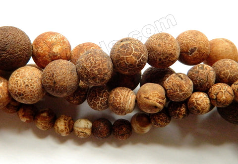 Frosted Antique Walnut Agate  -  Smooth Round Beads  15"