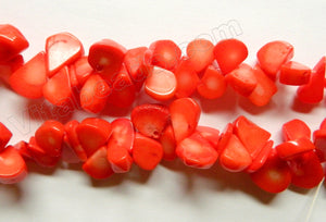 Bright Orange Coral  -  Top Drilled Flat Briolette Drops  15"