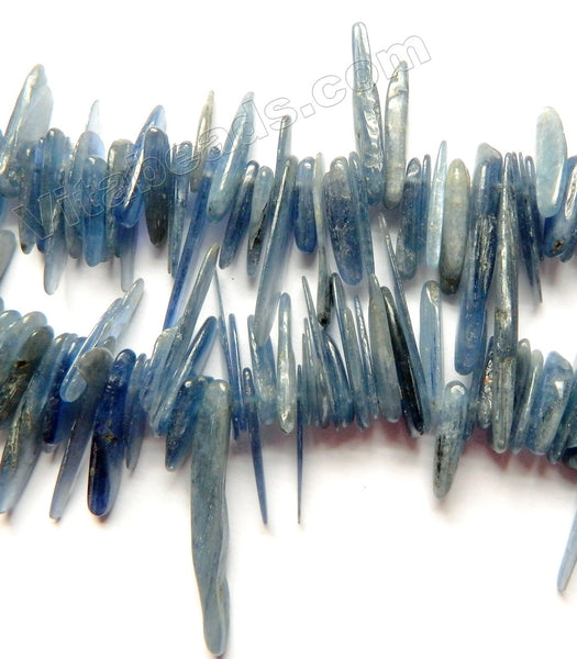 Natural Dark Blue Kyanite  Stone  -  Long Sticks 15"