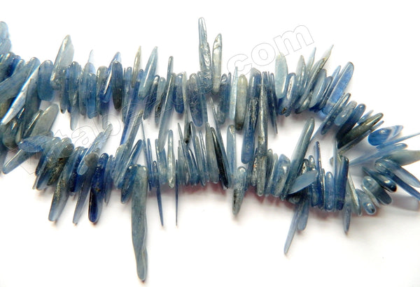 Natural Dark Blue Kyanite  Stone  -  Long Sticks 15"