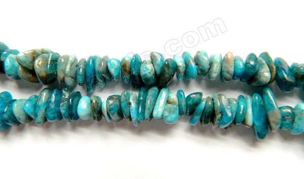 Apatite A  -  Center Drilled Slice Chips 16"