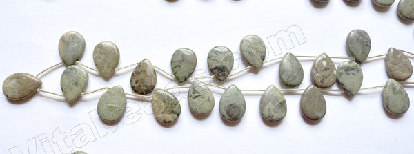 Grey Chinese Picasso Jasper  -  Smooth Flat Briolette  16"