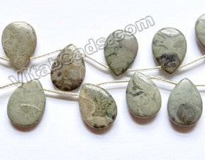 Grey Chinese Picasso Jasper  -  Smooth Flat Briolette  16"