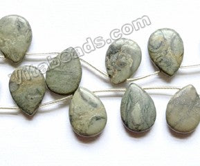Grey Chinese Picasso Jasper  -  Smooth Flat Briolette  16"