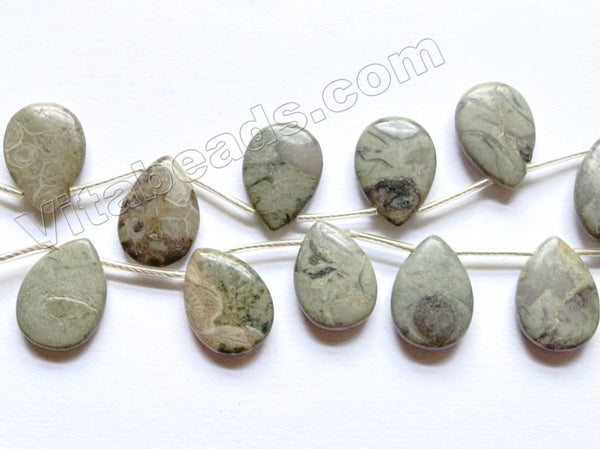 Grey Chinese Picasso Jasper  -  Smooth Flat Briolette  16"