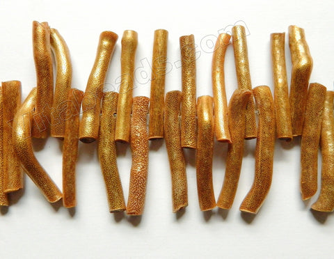 Gold Sea Willow Natural Sponge Coral A  -  Long Tube Sticks  8"