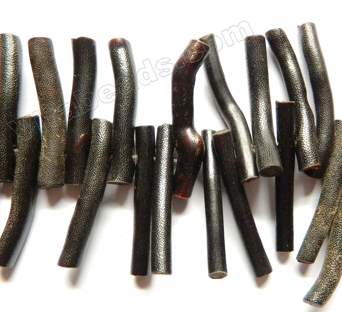 Black Sea Willow Natural Sponge Coral A  -  Long Tube Sticks  8"
