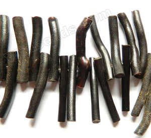 Black Sea Willow Natural Sponge Coral A  -  Long Tube Sticks  8"