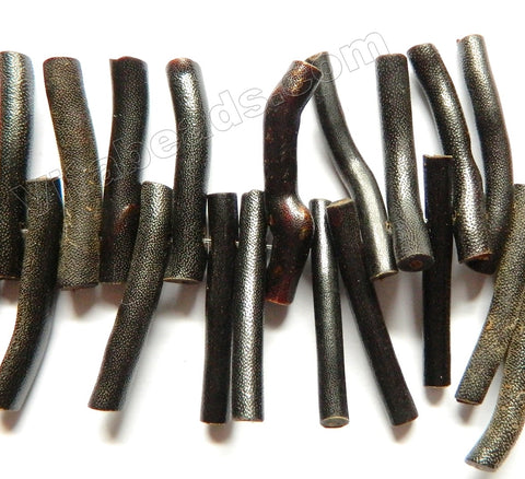 Black Sea Willow Natural Sponge Coral A  -  Long Tube Sticks  8"