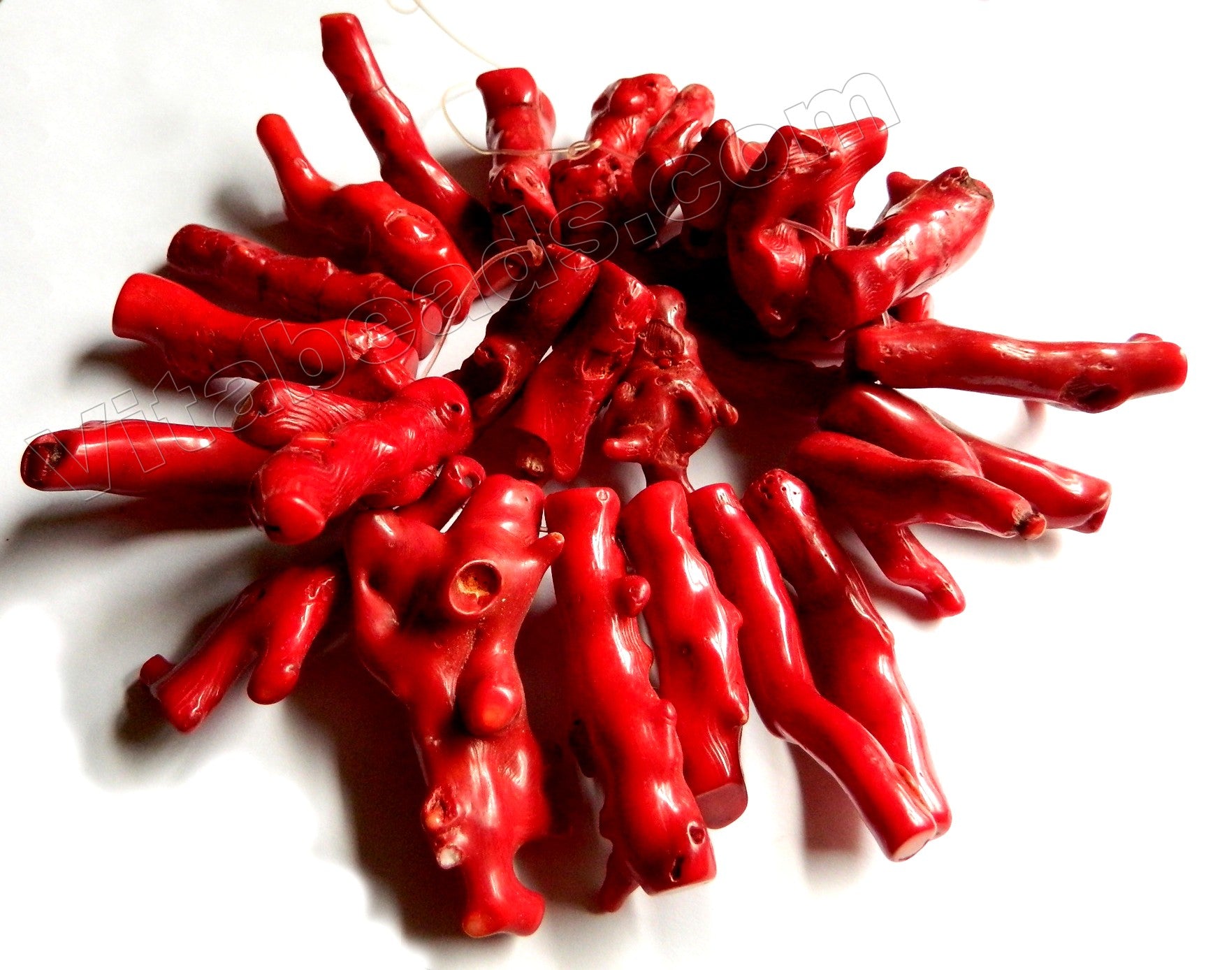 Red Bamboo Coral  -  Top Drilled Branch Stick  10"