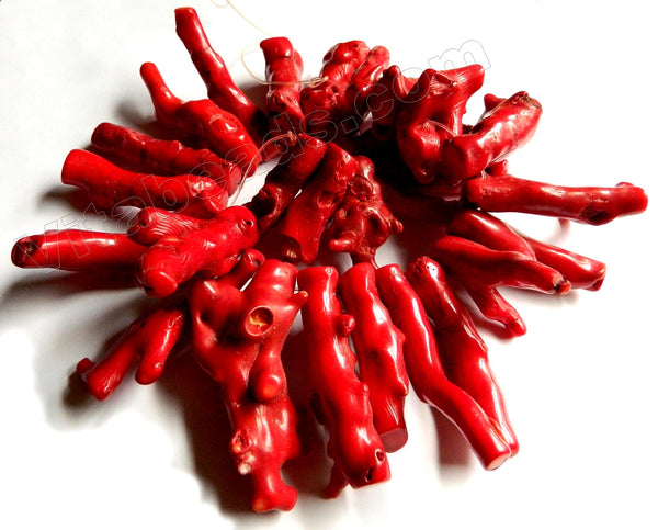 Red Bamboo Coral  -  Top Drilled Branch Stick  10"