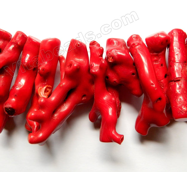 Red Bamboo Coral  -  Top Drilled Branch Stick  10"