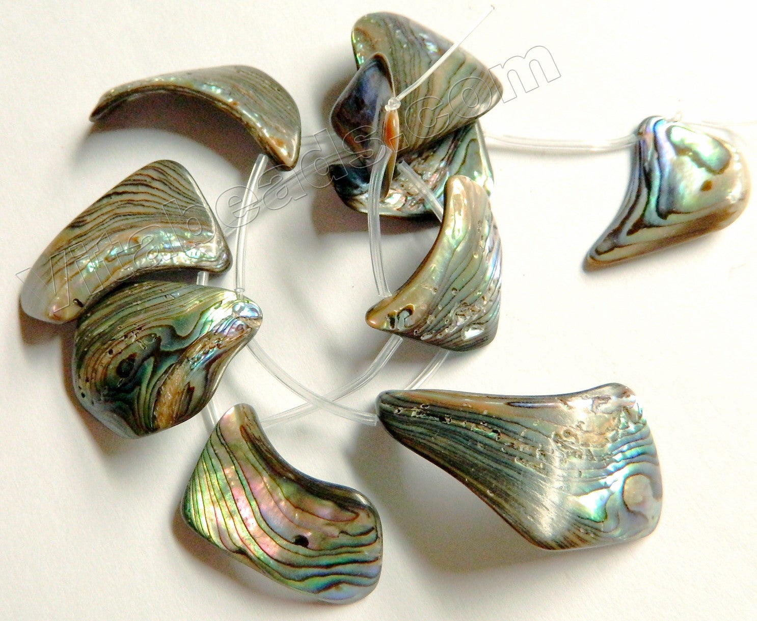 Abalone  -  Graduated Top Drilled Free Form Flat Drops 12"