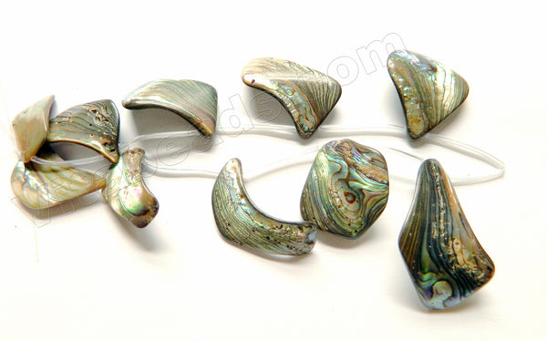 Abalone  -  Graduated Top Drilled Free Form Flat Drops 12"