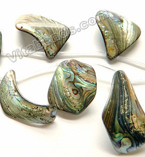 Abalone  -  Graduated Top Drilled Free Form Flat Drops 12"