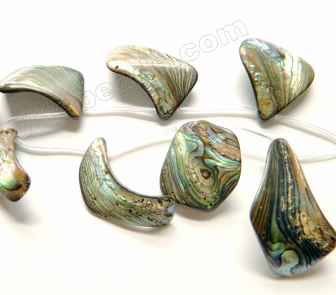Abalone  -  Graduated Top Drilled Free Form Flat Drops 12"