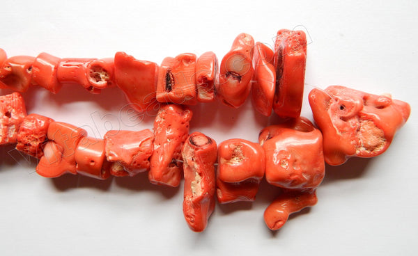 Natural Orange Coral Rough   -  Graduated Spinal Nuggets  11"  