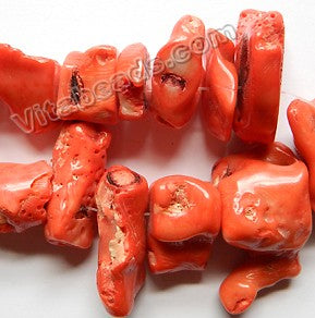 Natural Orange Coral Rough   -  Graduated Spinal Nuggets  11"  