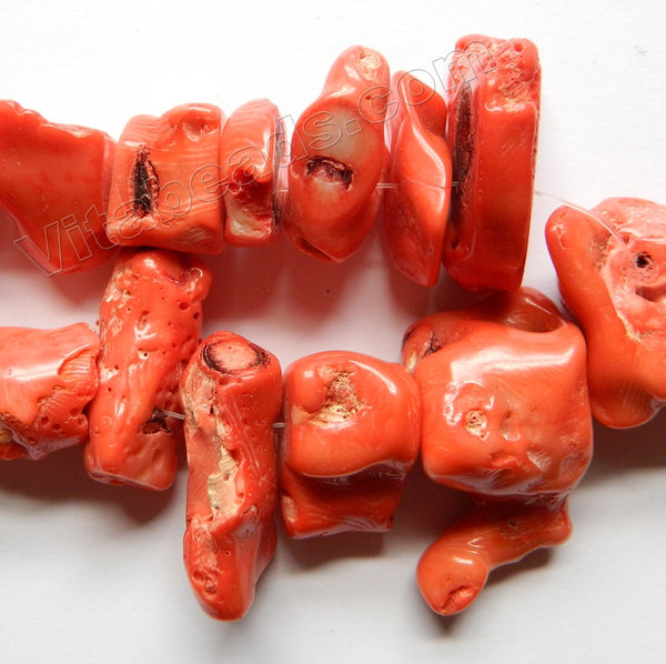 Natural Orange Coral Rough   -  Graduated Spinal Nuggets  11"  