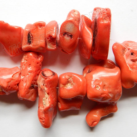 Natural Orange Coral Rough   -  Graduated Spinal Nuggets  11"