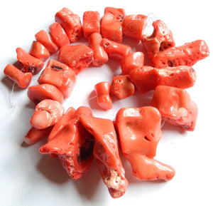 Natural Orange Coral Rough   -  Graduated Spinal Nuggets  11"  