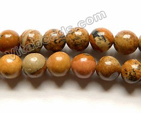 Dark Brown Picture Jasper  -  Smooth Round  15"