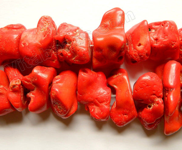 Deep Orange Red Coral Rough   -  Big Spinal Nuggets  16"