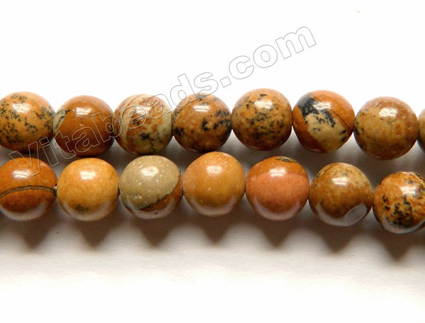 Dark Brown Picture Jasper  -  Smooth Round  15"