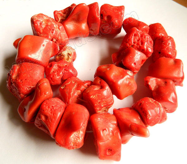Deep Orange Red Coral Rough   -  Big Spinal Nuggets  16"