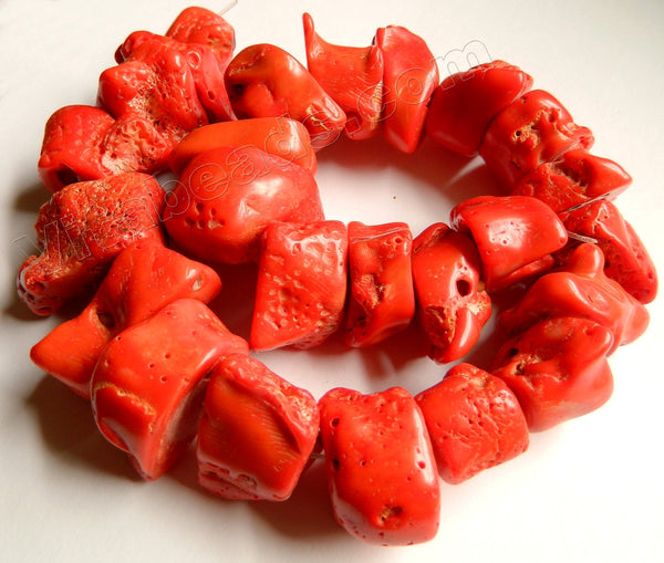 Deep Orange Red Coral Rough   -  Big Spinal Nuggets  16"