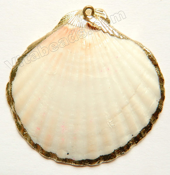 Scallop Shell Pendant w/ Gold Foiled Edge &. Bail   Cream White