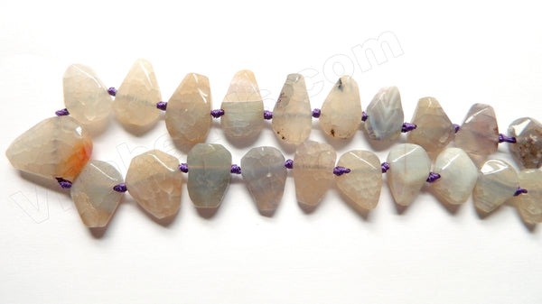 Warm Grey Fire Agate  -  Graduated Center Drilled Faceted Flat 16"