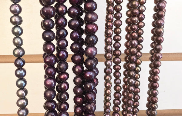 FWP  -  Violet Purple Potato  16"