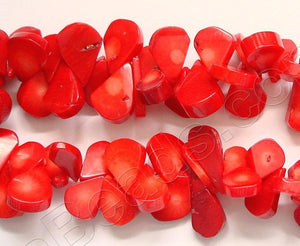 Orange Red Coral  -  Top Drilled Flat Pears  16"