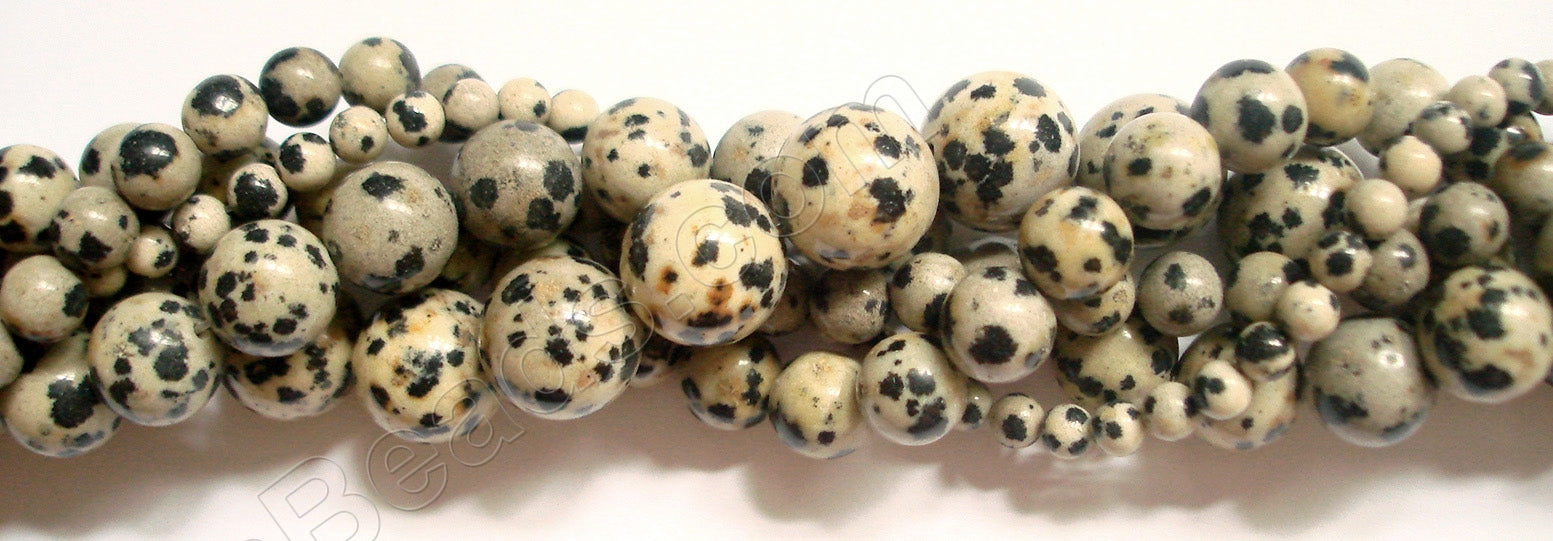 Dalmatian Jasper - Smooth Round  16"