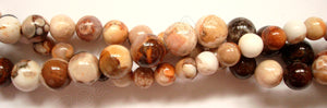Conglomarite Jasper - Smooth Round Beads  16"