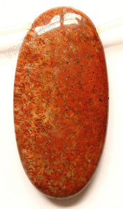 Pendant - Smooth Long Oval Red Fossil Jasper - Dark