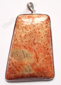 Fine Sterling Silver & Red Fossil Pendant - 19