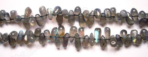 Labradorite (India)  -  Plain Teardrop Side Drill  14.5"