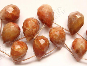 Chinese Crazy lace Agate Dark - 13x18mm Faceted Teardrop 16"