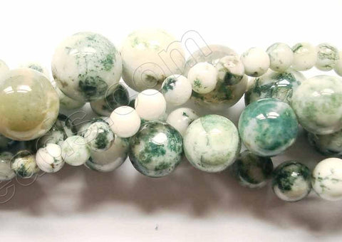 Tree Agate A - Smooth Round  16"