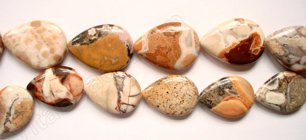 Conglomarite Jasper -  Big Puff Drops  16"