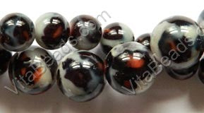 Snow Leopard Shell Beads  -  Smooth Round 16"
