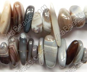 Botswana Agate A  -  Big Smooth Tooth Nuggets  16"      9 x 23 mm