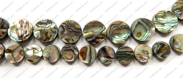 Abalone - Flat Coins 16"