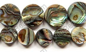 Abalone - Flat Coins 16"