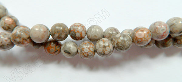 Ocean Fossil  -  Smooth Round Beads  16"